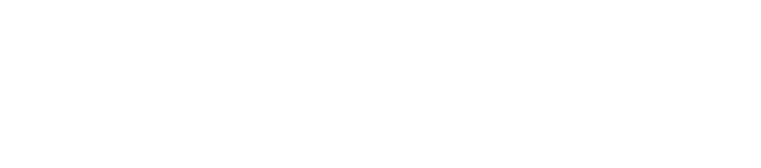 Selective Hospice, Inc.